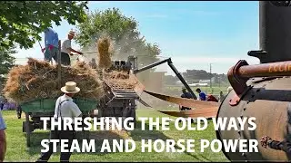 OLD TIME THRESHING Using Horses, Steam Traction Engines, and Vintage Tractors and Antique Threshers
