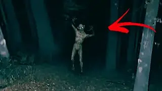 6 Filmagens Reais em Acampamentos e Florestas que N&Atilde;O Deveriam Ter Sido Gravados