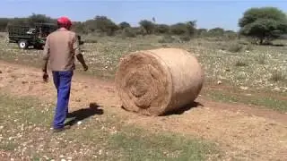 Farm in Namibia  - Forage harevest 2018