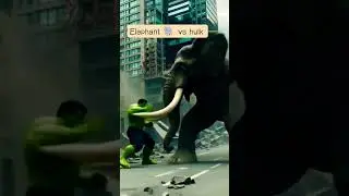 Elephant 🐘 vs hulk #shortfeed #shortvideo #shorts