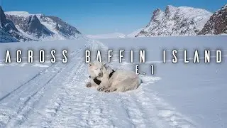 Man and His Dog Alone in the Arctic - E.1 - Polar Bear Danger