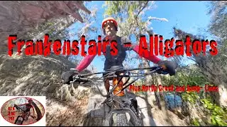 Riding Alafia River State Park MTB Trails - Frankenstairs, North Creek, Black Rated Trails - Part 1
