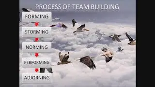 Team Building : An easy understanding of the concept,Process of Team building and its implementation