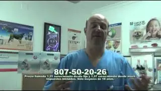 ¿Qué debe comer mi gato?