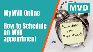 Scheduling an MVD Appointment Online