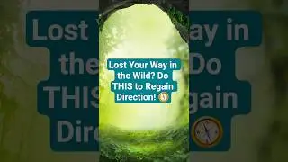 Lost in the wild? Get Found Fast! #shorts
