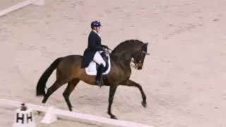 CAVALIADA Kraków 2023: Sandra Sysojeva, FOUND BOY, IMMERGAS DRESSAGE TOUR
