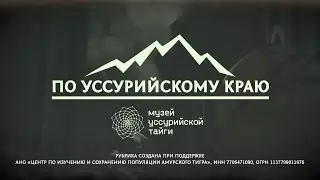🌲 &laquo;По Уссурийскому краю&raquo;. Экскурсия на гору Изюбриную.