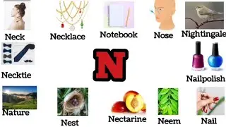 Words starting with N | kids vocabulary ! kids videos | English learning