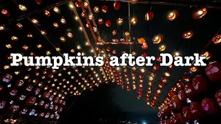 🎃Pumpkins after Dark Calgary | Halloween Event | Canada Halloween Event🇨🇦