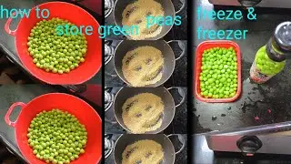 how to store green peas freeze and freezer🫛🫛one years tips and tricks #hindi volg 2023🫛🫛