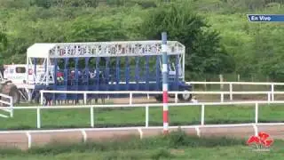 Hip&oacute;dromo San Francisco / R8C5 / 20170624 / 1200 mts / George
