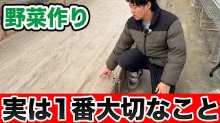 【野菜作り】見落としがちな「大事なこと」とは