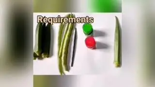 VEGETABLE STAMPING ACTIVITY/ LADY'S FINGER & BEANS😍😍