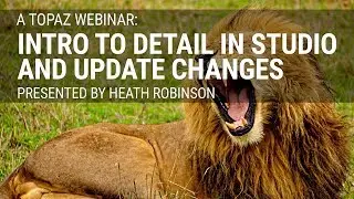 Intro to Detail in Studio and the Latest Changes to Studio