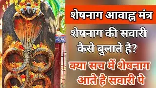 शेषनाग भगवान की सवारी कैसे बुलाते है शेषनाग आवाह्न मंत्र क्या है? शेषनाग शरीर पे कैसे आते है? Part 2