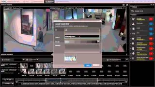 Tutorial:  Share View