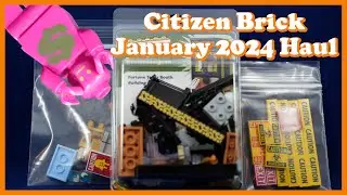 Citizen Brick Zoltar and Big Shot Minifig! (January 2024 Citizen Brick Custom Lego Haul)