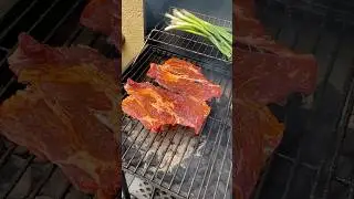 Sunday food adventure #cat #food #catlover #foodie #pov #pov #trending #fy #youtubeshorts #viral