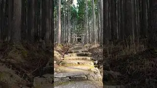 #japan #shrine #temple