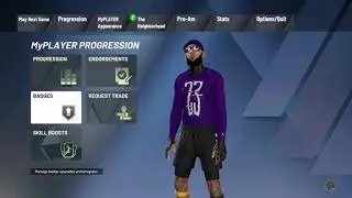 BEST JUMPSHOT AND BADGE SETUP FOR REBOUNDING WING AND GLASSLOCKS