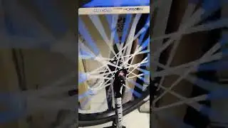 Ride Out Supply Reflected Spoke Skins