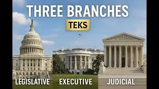 The Three Branches 🏛️💼⚖️(Unit 8: Texas Government)