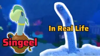 I FOUND SINGEEL *IN REAL LIFE* | Loomian Legacy Rare Finds