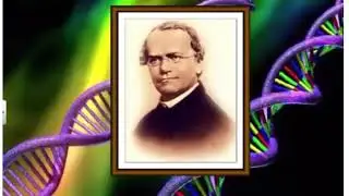 PRINCIPLES OF INHERITANCE AND VARIATION:PART 1/Introduction & Inheritance of one gene