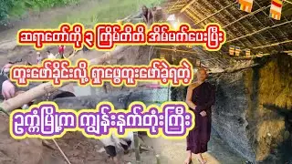 အိမ်မက်အရ တူးဖော်ခဲ့ကြတဲ့ ကျွန်းနက်တုံးကြီး