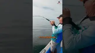 Fingermark reward anglers who know this