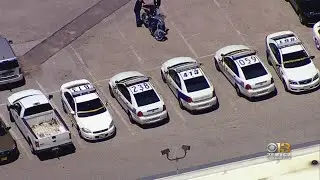 All City Police Cars Returned To Service Following Investigation