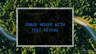 IMAGE HOVER WITH TEXT REVEAL | Text Reveal on Image Hover | PURE  CSS | HTML CSS TUTORIAL