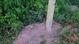 First look at the Toadstead perimeter fence