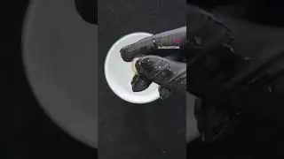 Water Test on Ethiopian Opals | Hydrophane Opals
