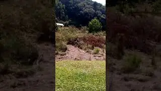 Brincando de rampar kkkk
