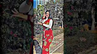 Goli chali 100 go | #Pawan Singh | bhojpuri short video |#viral #shortvideo #bhojpuri #dance #shorts