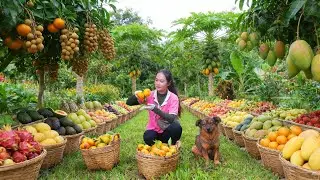 Harvest Oranges, Longan, Avocados, Guavas, Mangoes – Sell At  Market – Cook, Care For, Build My Farm