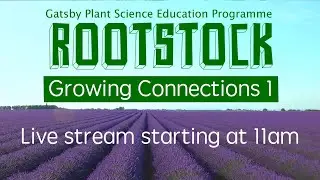 Rootstock Plant Science Livestream - Growing Connections 1 🌱