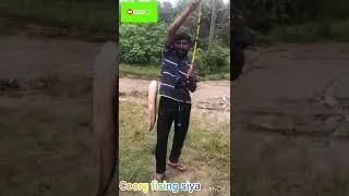 coorg fishng #fishin #fish #coorg #river