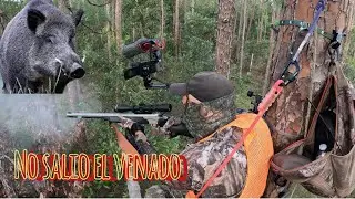 Florida Public Land Opening Day Muzzleloader Hunt. #wildhog #bh209