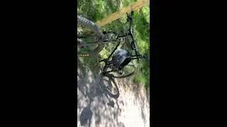 FIRST LOOK at the new 2020 Trek Roscoe 7 MTB [4K 60FPS]