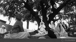 Bodhi Tree Meditation