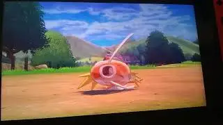 how to get feebas in Pokemon sword and shield