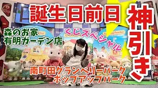 【シルバニアファミリー】誕生日前日の奇跡！南町田グランベリーパークポップアップパークと 森のお家有明ガーデン店でくじ引いてきた！【神引き】