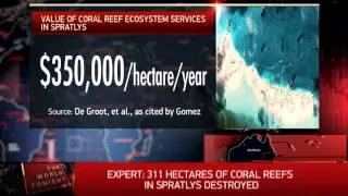 311 hectares of Spratlys coral reefs destroyed