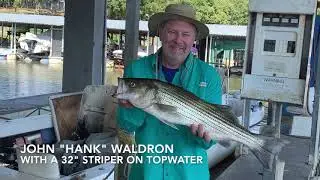Lake Texoma Topwater Striper Fishing-Striper Express-Lake Texoma Fishing Guides