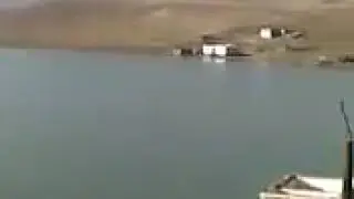 ağ koğak