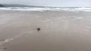 Lehinch beach