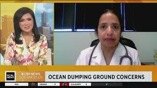 DDT dumped off L.A. coast, more discovered: Doctor discusses